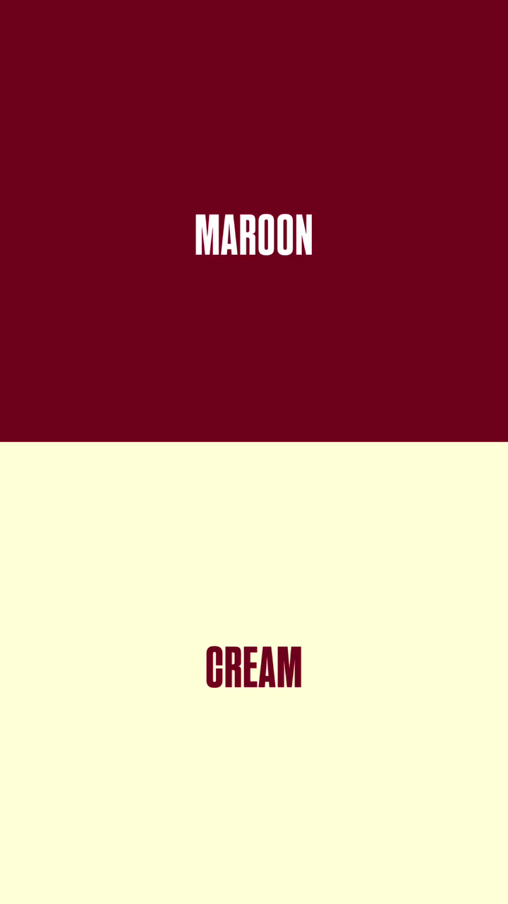 Rich Colour Combination Look – Bold Comfort with Everyday Style